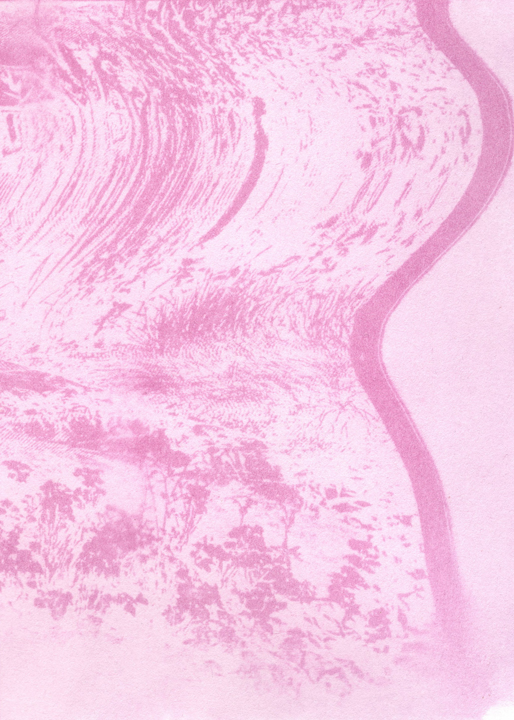 A SolarFast print created from the Nature/Wane scanograph piece. The pale pink background and darker pink abstract shapes add a softness, with no harsh contrasts. 
